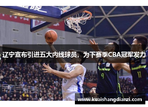 辽宁宣布引进五大内线球员，为下赛季CBA冠军发力