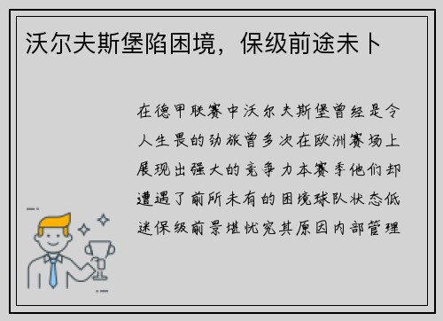 沃尔夫斯堡陷困境，保级前途未卜
