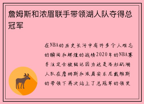 詹姆斯和浓眉联手带领湖人队夺得总冠军